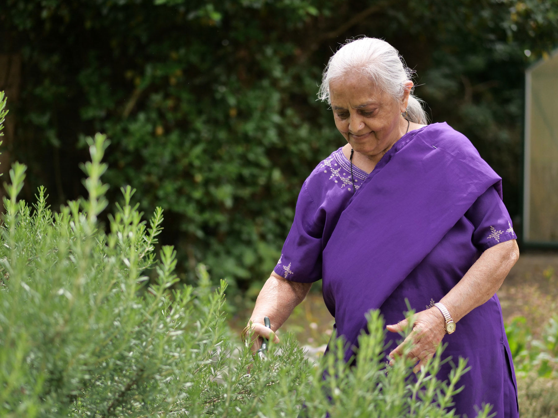 Remember a loved one